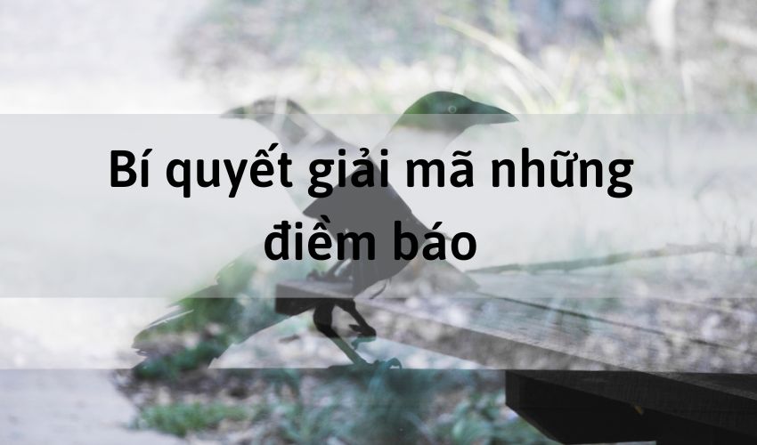 Bí quyết giải mã điềm báo