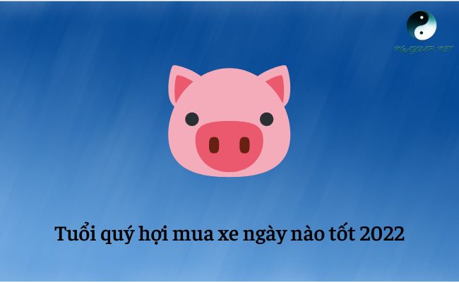 Tuổi Quý Hợi mua xe ngày nào tốt 2022