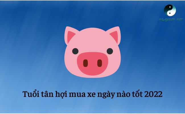 Tuổi Tân Hợi mua xe ngày nào tốt 2022