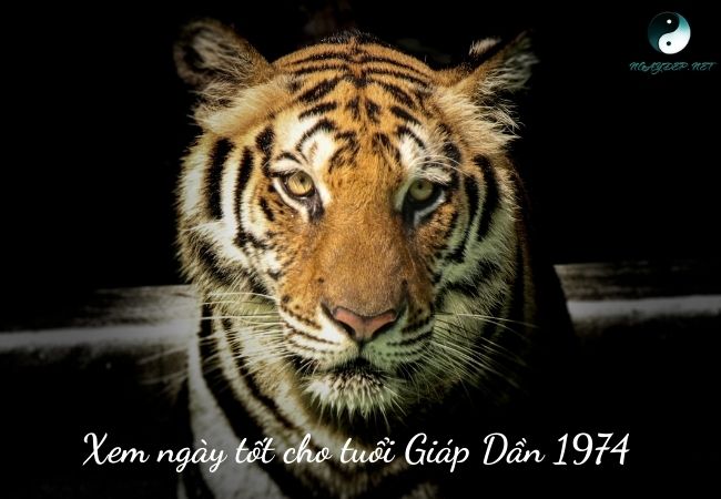 NGày tốt cho tuổi giáp dần 1974