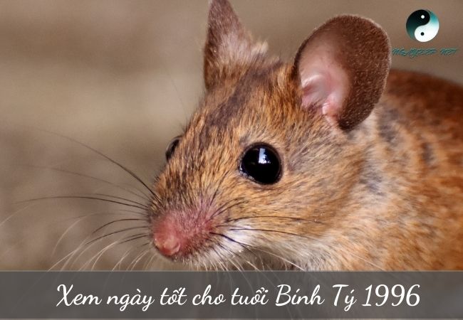 ngày tốt cho tuổi Bính Tý 1996