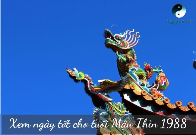 ngày tốt cho tuổi Mậu Thìn 1988