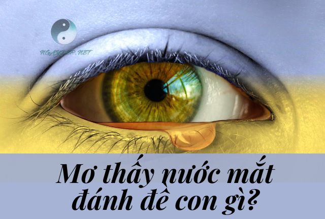 Mơ thấy nước mắt đánh con gì may mắn?